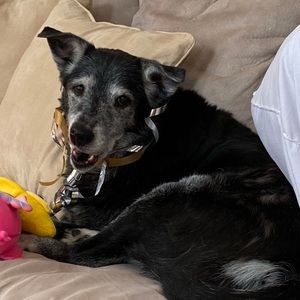 Meet your Posher, Angela